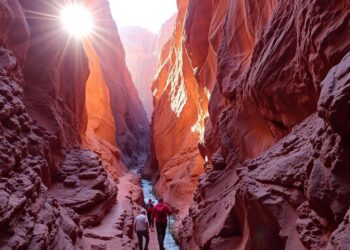 Canyon Trek