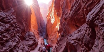 Canyon Trek