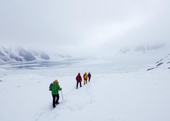 Ice Field