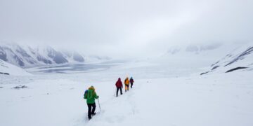 Ice Field