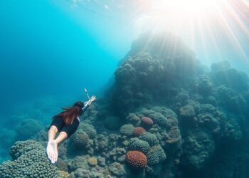 Ocean Drop