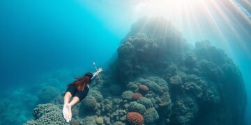 Ocean Drop